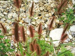 -大平台龙居瀑布旅游区