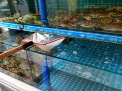 -鲜鲜·鲅鱼圈海鲜(于洪店)
