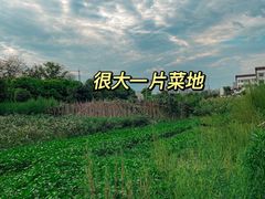 -凤来栖·净庭院·火锅(欧尚店)