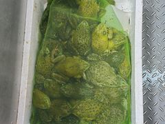 -三旗百汇商品城