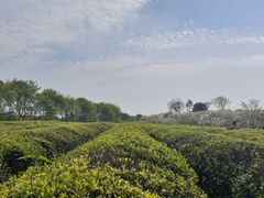 -凤凰沟景区