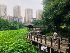 -龙头寺公园