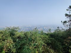 -杭州半山国家森林公园