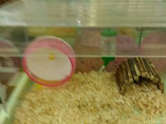 -龙猫仔乐园(惠福东路店)