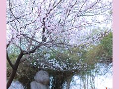 -堤角公园