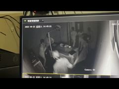 -白兔子密室(长寿路店)