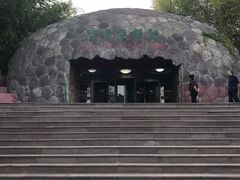 -中国西峡恐龙遗迹园