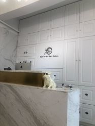 -潘多拉Hairsalon