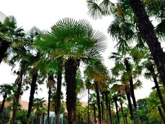 -西南交通大学(九里校区)