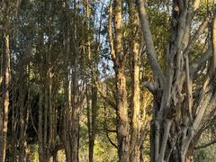 -福建鲤鱼洲酒店