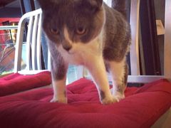 小灰-MIKAKU(万达广场上海宝山店)