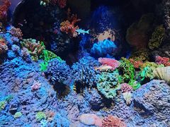 -中国湿地博物馆