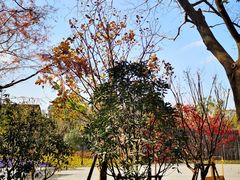 -上海市龙华烈士陵园