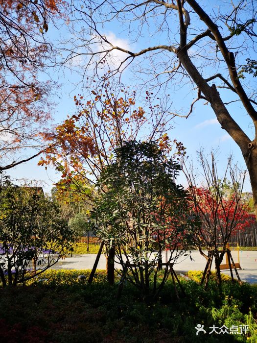 上海市龙华烈士陵园图片