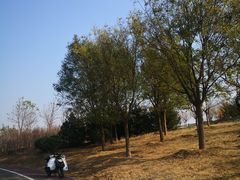 -马家湾湿地公园