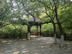 -佛慧山