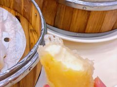 脆皮杏片炸鲜奶-凤凰楼酒家·粤宴点心(华强北店)