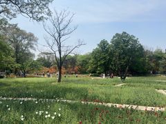 -沈阳植物园