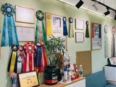-猫十亿·布偶金渐层·曼基康矮脚猫舍(青年路店)