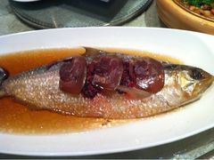酒糟鲥鱼-走马楼饭庄(慈城古县城店)