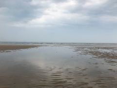 -日照海滨国家森林公园