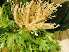 -汤城·料青山
