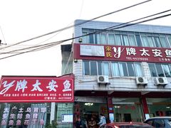 -y牌太安鱼