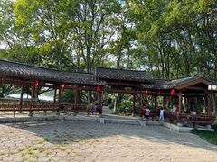 -江心屿景区