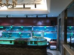 水产区-卡尔顿东方银龙酒店•广西菜•早茶