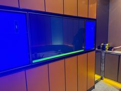 -星聚会KTV(苏州尹山湖歌林公园店)