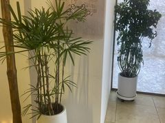 -野人部落(沈阳一店)