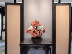 -上海醉白池公园