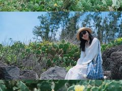 -硇洲岛旅游区