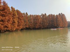 -上海海湾国家森林公园