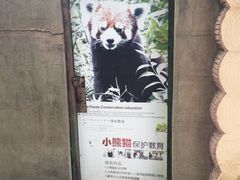 -成都大熊猫繁育研究基地