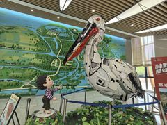 -同里国家湿地公园