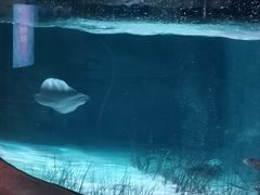 -沈阳海洋探索中心