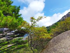 -黄山风景区