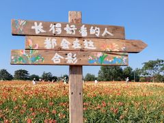 -汉长安城未央宫国家考古遗址公园