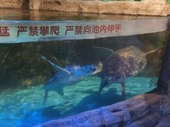 -石家庄海洋公园