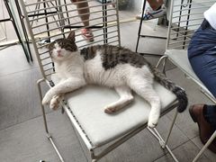 -UNI UNI(环亚凯瑟琳店)