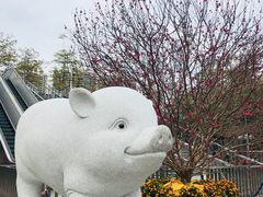 -珠江夜游广州塔·中大码头