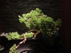 -臻享养生·SPA·影院式足道(汇臻店)