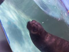 -石家庄海洋公园