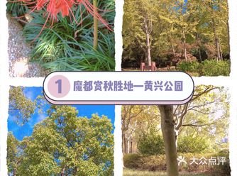 来黄兴公园感受浓浓的秋意
