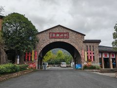 -千岛湖石林