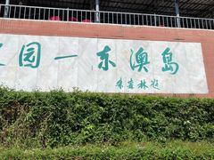 -东澳岛