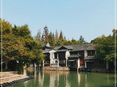-乌镇西栅景区