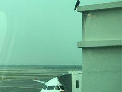 -吉隆坡国际机场