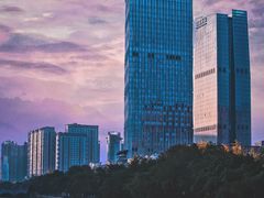 -新南门(地铁站)